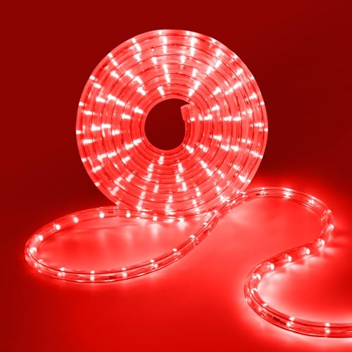 HEGEHE LED Lichterschlauch Außen, 36leds/m Wasserfest LED Schlauch Lichterkette Licht Leiste für Garten,Party,Weihnachten,Zaun,Dach,Dekoration Beleuchtung (Rot, 10M)