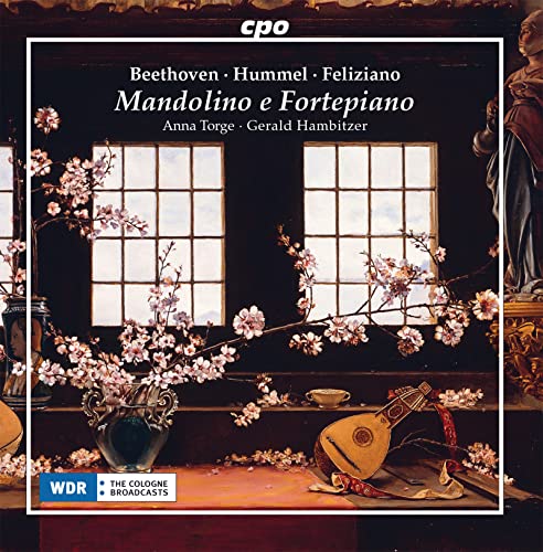 Mandolino Mandolino E Fortepiano
