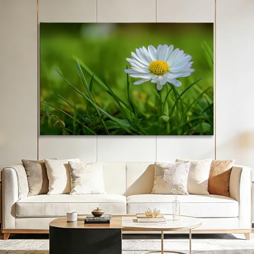 Genérico Cuadros en Lienzo con Marco Hierba verde y margaritas 70x50cm Cuadro Decoracion, Arte para Pared, Laminas Decorativas Grande XXL para Dormitorio Salon Baño Pasillo Hogar