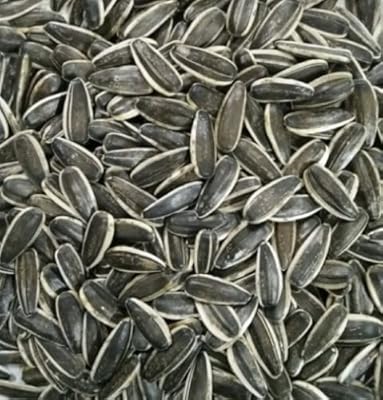 Maltbys' Stores 1904 Limited 5kg MEDIUM SUNFLOWER BIRD FOOD PARROT FOOD