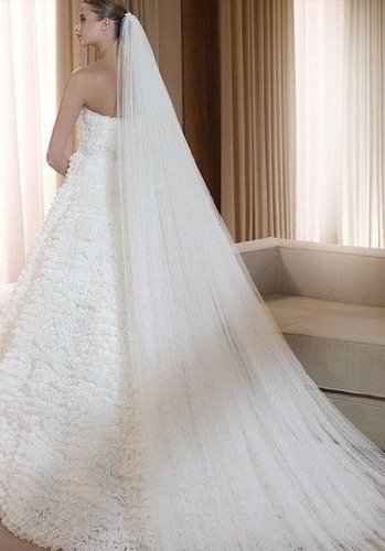 Qishi's Long 118 Inches Double Layer Accesory Wedding Bridal Veil