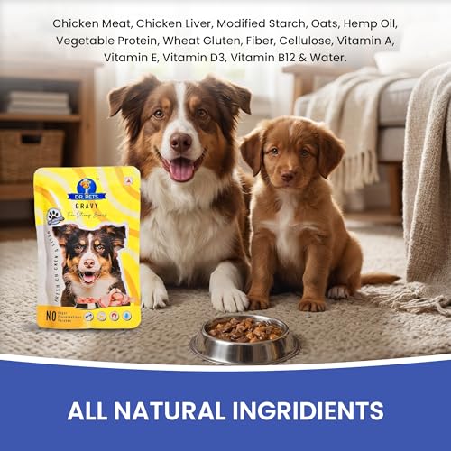 Image of Dr.Pets Gluten & Preservative Free Dog Wet Food (Gravy) | Balanced Meal with High Protein Chicken & Liver Chunks for Adult Dogs & Puppies | No Added Sugar & Paraben | 85 g (Pack of 12)