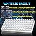 immagine 7AJAZZ AK33 Tastiera Meccanica da Computer Gaming, USB Cablata 82 Tasti Anti-Ghosting Tastiera Gioco Bianco Illuminata Backlit, Mechanical Keyboard Compatta Ergonomica, Interruttore Rosso, Bianco