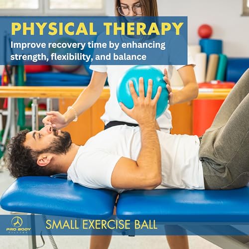 Small ProBody Pilates Ball for Home Gym & Office Workout