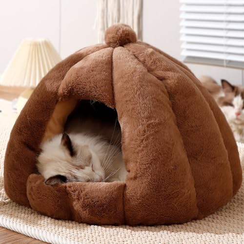 [ADSNS] ybg nEX h[ Lp H ~ ybg 􂦂  J[2 h[nEX xbh L Hp ~p h[^ ^ nEX ybgeg ybgpQ ۉh ~ K  Vv XL g h ΍ 