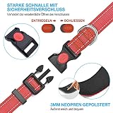 haapaw reflektierendes Hundehalsband gepolstert mit weichem Neopren atmungsaktiv einstellbar Nylon Hundehalsbänder für kleine mittlere große Hunde