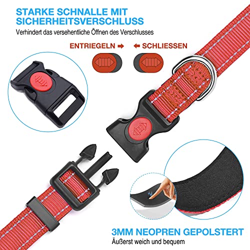 haapaw reflektierendes Hundehalsband gepolstert mit weichem Neopren atmungsaktiv einstellbar Nylon Hundehalsbänder für kleine mittlere große Hunde