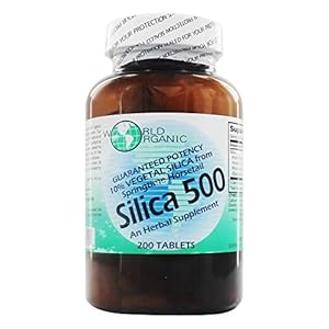 World Organics Silica 500Mg Tabs 200