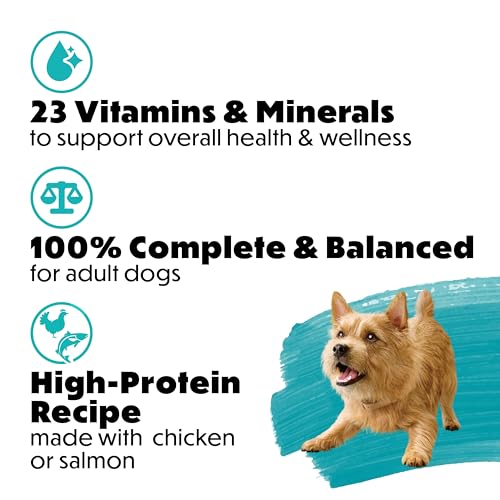Beneful Incredibites Wet Dog Food for Small Dogs, Real Chicken & Salmon in Gravy Variety Pack - 85 g Can (12 Pack) image 7