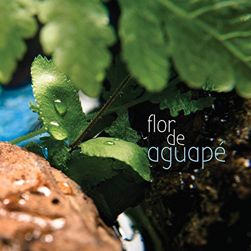  Flor de Aguapé