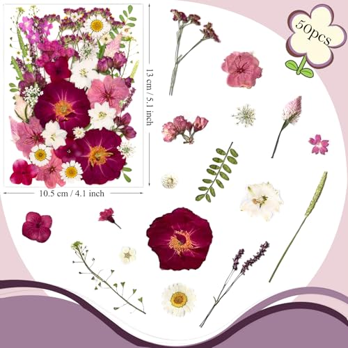 Flores secas prensadas rojas para manualidades 52 piezas miniatura 6