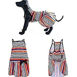 Nicole Miller Pet Dog Dress