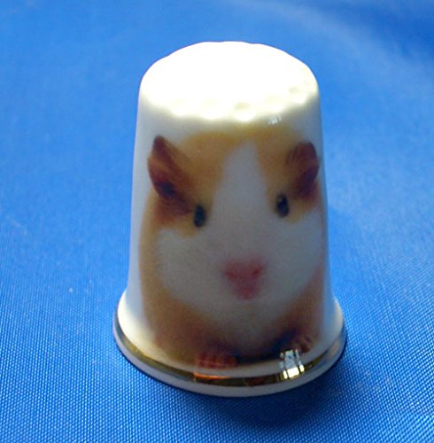 Birchcroft China Porcelain China Collectable Thimble Guinea Pig