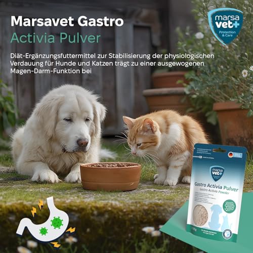 Marsavet Gastro Activia Pulver Diät-Ergänzungsfuttermittel zur Stabilisierung der physiologischen Verdauung für Hunde und Katzen – 125 g. Mit Probiotika & Präbiotika