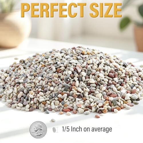 Image of 2.4lb Succulent and Cactus Gravel Pebbles, 1 /5 Inch Mixed Color Natural Rocks for Fish Tank, Indoor Plants, Aquarium, Vases, Landscaping