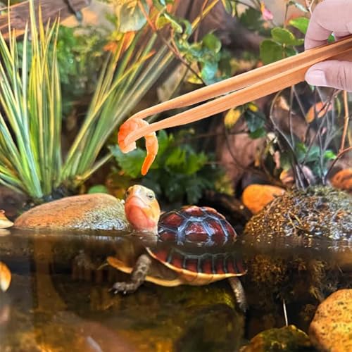 Alimentando pinças para répteis e répteis pinças,Cobras que alimentam pinças | Acessórios de tanques