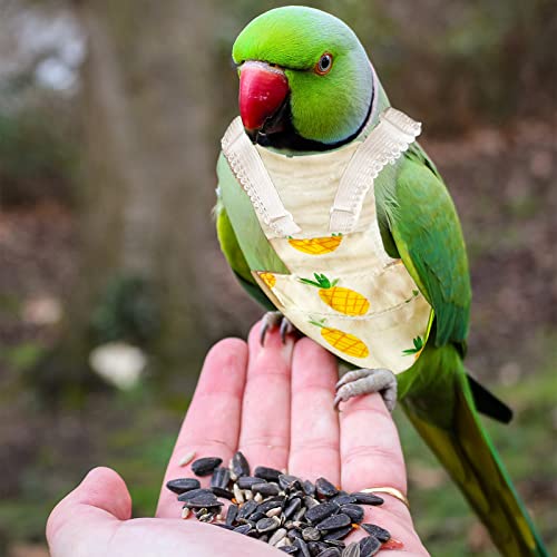 Dnoifne Bird Diapers Flight Set with Green Leash, Bird Diaper with Cute Pattern, Washable and Reusable Parrot Nappy, Pet… - Image 4