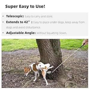   Dog-Urine-Sample-CatcherAdjustable-Angle-Long-Handled-Telescopic-Dog-Urine-CollectorSuper-Easy-to-Use-Dog-Pee-Catcher-Urine-Stick-for-Small-Large-Female-Dogs