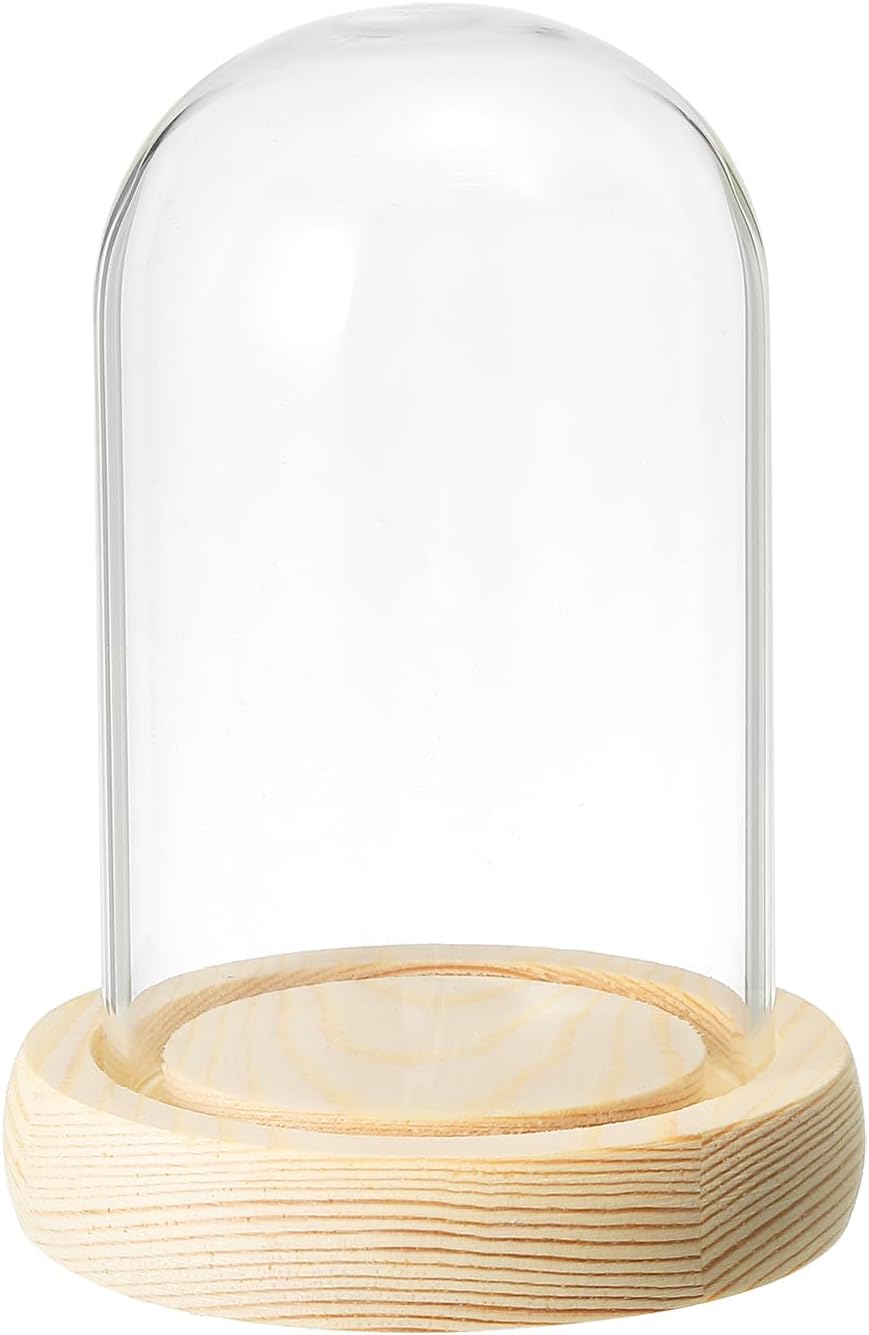 PATIKIL 6.3"x3.9" Clear Cloche Glass Dome, Glass Bell Jar Display Case Tabletop Centerpiece with Wooden Base for Plants Home Decor
