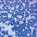 Dirofilaria immitis, Smear Microscope Slide