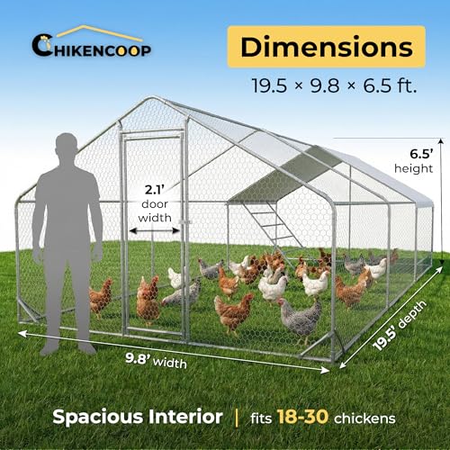 Image of CHIKENCOOP 19.5x9.8x6.5 ft Metal Chicken Coop, Chicken Run with Cover