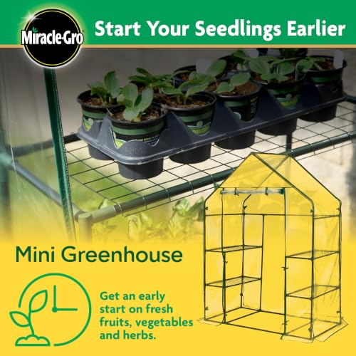 Miracle-Gro Walk-in Greenhouse, Removable Shelves, Clear, 4'8"x29"x6'5 - image 4