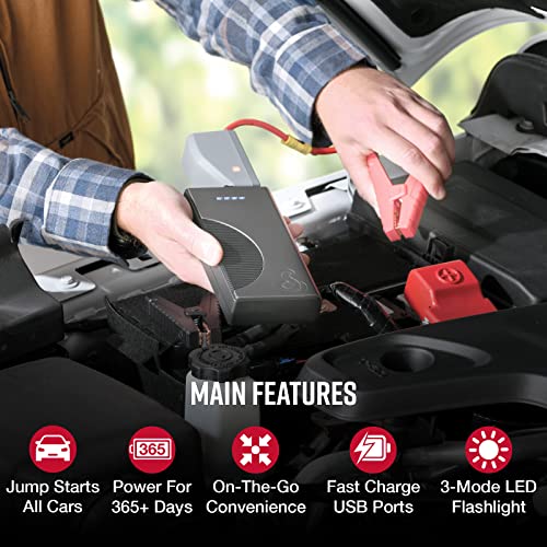 Cobra 800A Jump Starter - Lithium-ion Jump Starter & Power Bank with Fast Charge USB, LED Flashlight, Jumper Cables, 800 Amp Peak Power for Any Car, SUV or Motorcycle by COBRA - Image 2