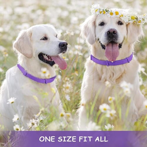 XoeLLe Beruhigungshalsband für Hunde, 2 Pack Verstellbares Calming Collar for Dogs, Beruhigungsmittel Halsband 60 Tage Schutz, Angst Stress Pheromon-Beschwichtigungshalsband für Große, Mittlere Hunde
