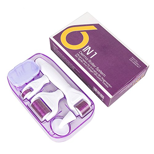 6 in 1 Derma Roller Set Include 12 Needles Derma