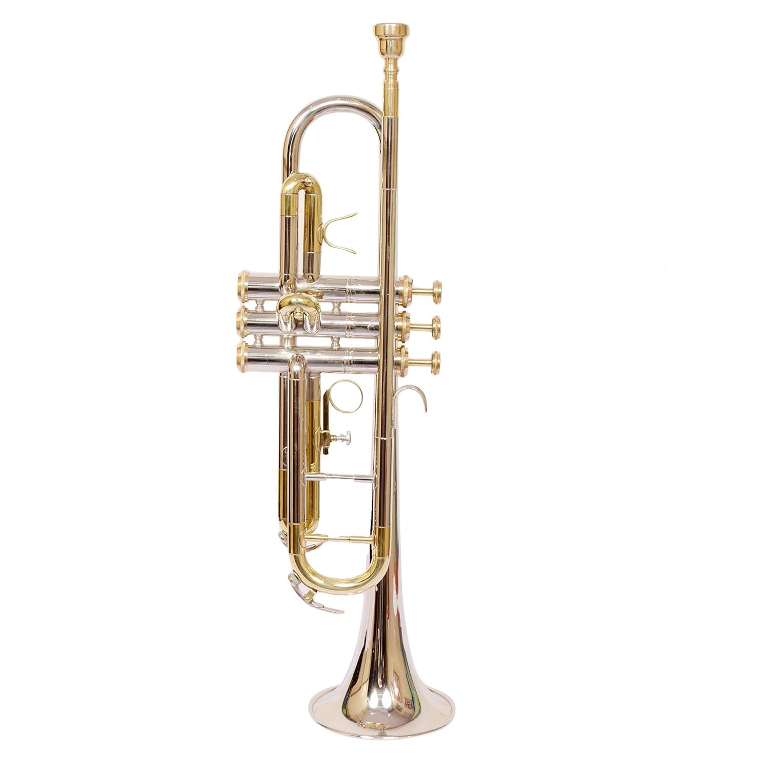 Tromba Bb Pitch con custodia rigida, molla, boccaglio e paio di guanti in design unico, qualità di esportazione per band da concerto, principianti, intermedi e professionisti