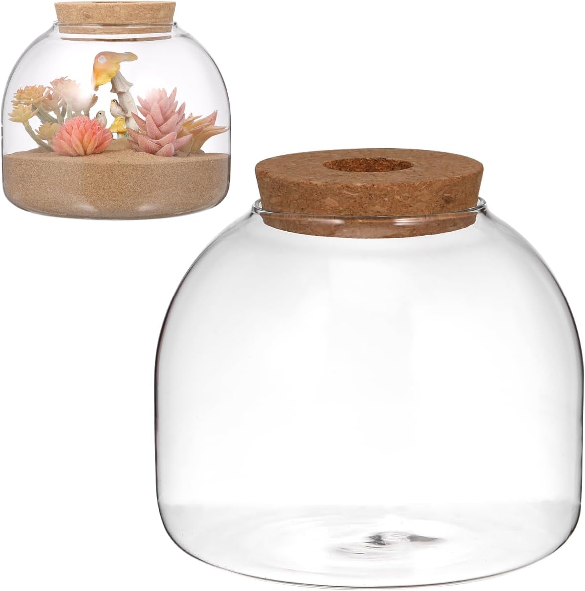 POPETPOP Glass Plant Terrarium: Glass Terrariums for Plants, Suitable for Displaying Plants and Flowers, Ideal for Home Office Decor