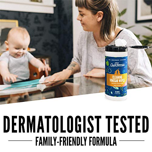 Aunt Fannie's Vinegar Cleaning Wipes, 35 Count (Sweet Mandarin, Single Pack) #TOP1