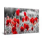 VOUS pouvez accrocher l’image sur toile Facile et Rapide car le paquet contient tout ce dont vous avez besoin. Vous découvrirez la fonctionnalité Double Vue du tableau. Il brille doucement jusqu'à 8 heures dans l'obscurité