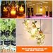 Cortador de Botellas de Vidrio,Eletorot Maquina para Cortar Botellas de Cristal DIY...