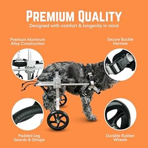 Dog-Wheelchair-for-Back-Legs--Small-Medium-Large--Lightweight-Aluminum-Alloy-Adjustable-Wheelchair-for-Dogs-with-Disabled-Hind-Legs--Cat-Wheelchair-Dog-Carts-with-Wheels - Cucciolini Doodles   Dog-Wheelchair-for-Back-Legs--Small-Medium-Large--Lightweight-Aluminum-Alloy-Adjustable-Wheelchair-for-Dogs-with-Disabled-Hind-Legs--Cat-Wheelchair-Dog-Carts-with-Wheels