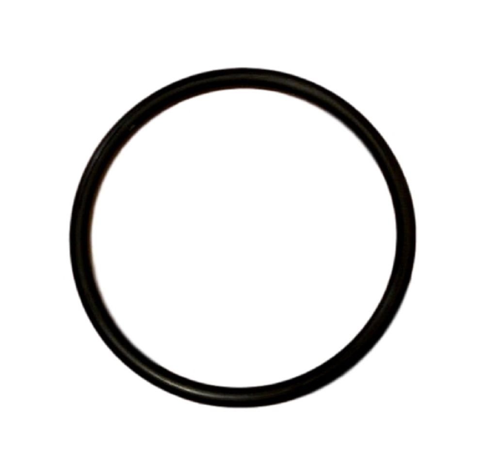 Zodiac R0511600 Main O-Ring Electrode Housing Replacement for Select Zodiac AquaPure Ei Series Electronic Salt Water Chlorine Generator