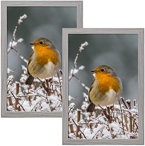 CTBRT 12x18 Poster Frames 2 Pack Rustic Grey Frame 18 x 12 Picture Frame Set Distressed 12 by 18 Frame for Wall Hanging Horizontally or Vertically with Plexiglass Cover