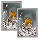 CTBRT 12x18 Poster Frames 2 Pack Rustic Grey Frame 18 x 12 Picture Frame Set Distressed 12 by 18 Fra