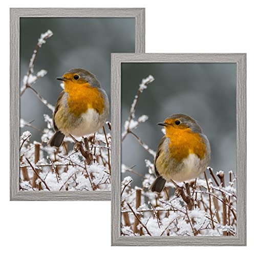 Ctbrt 12X18 Poster Frames 2 Pack Rustic Grey Frame 18 X 12 Picture Frame Set Distressed 12 By 18 Frame For Wall Hanging Horizontally Or Vertically With Plexiglass Cover #TOP19