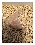 Live 500 Bait Maggots Ice Fishing Grub Worms Pan Fish Bait Crappie & Perch
