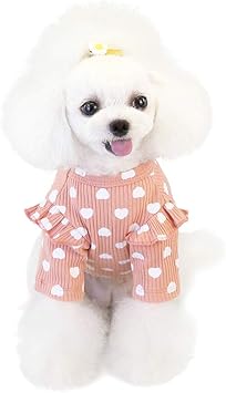 dog lovers clothes