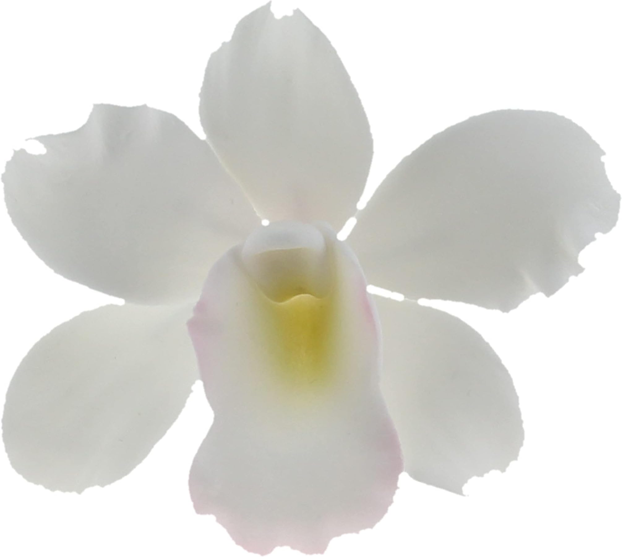 Pearly Orchid Sugar Cake Flowers, Small White, 6 Count by Chef Alan Tetreault