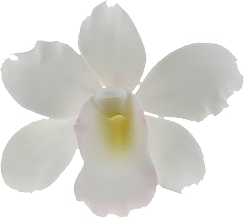 Global Sugar Art - Flores de pastel de azúcar de orquídea nacarada, color blanco, 6 unidades por Chef Alan Tetreault