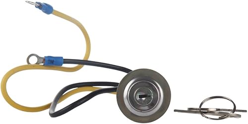 8N3679C 8N 9N Interruptor de encendido con 2 cables, 2 posiciones, 2 llaves de repuesto para Ford 2N 8N 9N 4000 6000 641 NAA 501 600 600 601 700 701