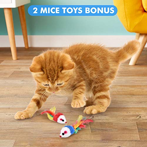 Adaskala engraçado gato caneta lanterna brinquedo LED caneta USB de carregamento 3 modos de iluminaç