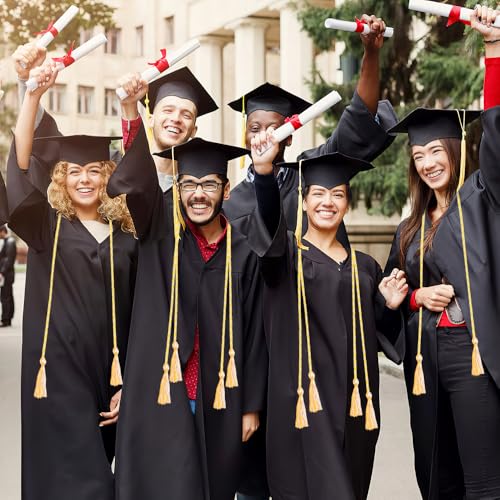 image for STPIYFZU Graduation Honor Cords, Gold and White Graduation Cord, 67