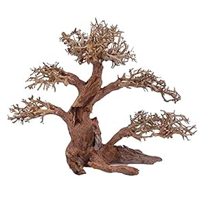 XL Bonsai boom nr. 12025 wortel hout aquarium deco aquascaping bonsai boom decoratie landschap mos natuur