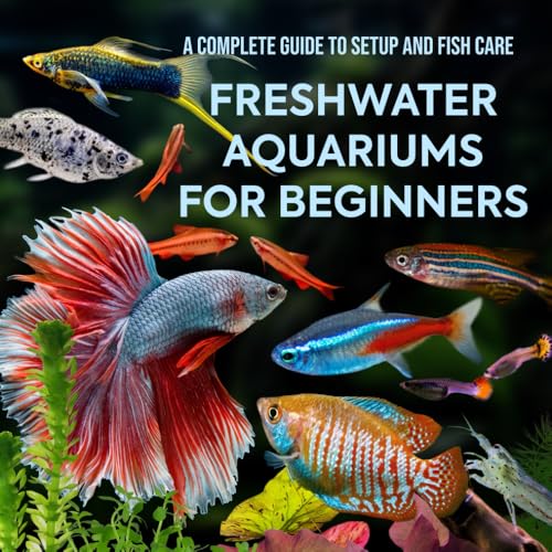 Freshwater Aquariums for Beginners: Complete Setup Guide