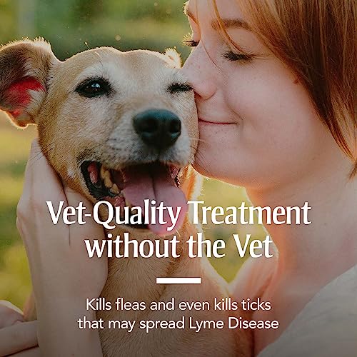 PetArmor for Dogs, Flea and Tick Treatment for Small Dogs (5-22 Pounds), Includes 6 Month Supply of Topical Flea Treatments PetArmor for Dogs, Flea and Tick Treatment for Small Dogs (5-22 Pounds), Includes 6 Month Supply of Topical Flea Treatments