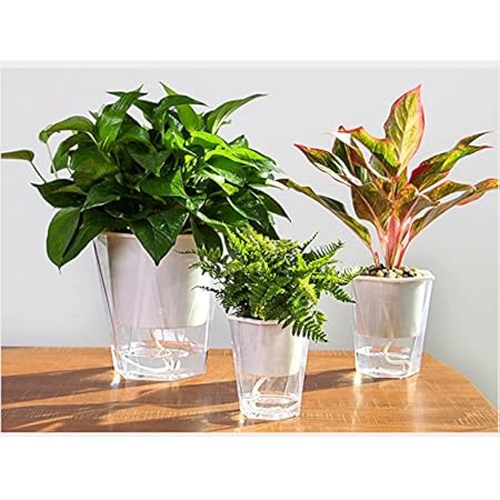 Amazon Co Jp Liebeye 植木鉢 自動給水 植物ポット 透明 フラワーポット エレガント インテリア ギフト おしゃれ 北欧風 Rlu03 Diy 工具 ガーデン